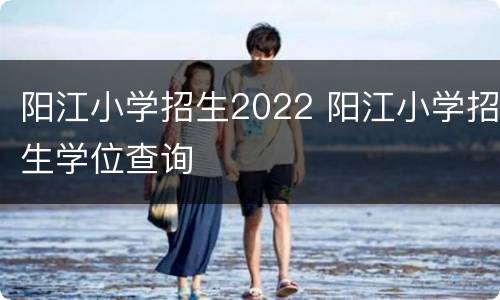 阳江小学招生2022 阳江小学招生学位查询