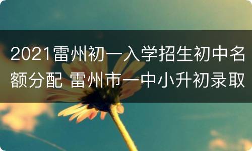 2021雷州初一入学招生初中名额分配 雷州市一中小升初录取分数线