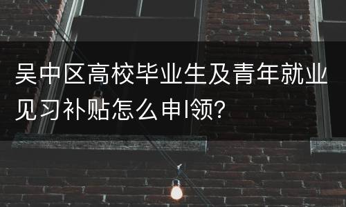 吴中区高校毕业生及青年就业见习补贴怎么申l领？