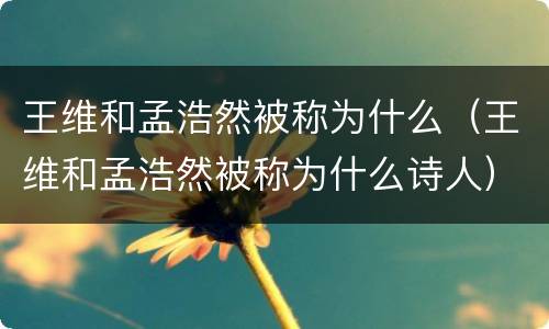 王维和孟浩然被称为什么（王维和孟浩然被称为什么诗人）