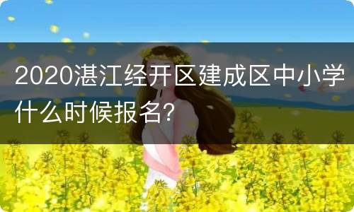 2020湛江经开区建成区中小学什么时候报名？