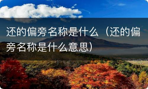 还的偏旁名称是什么（还的偏旁名称是什么意思）