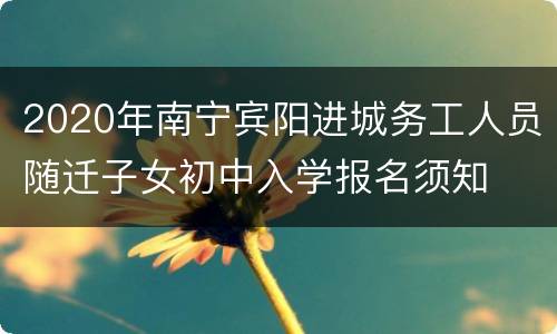 2020年南宁宾阳进城务工人员随迁子女初中入学报名须知