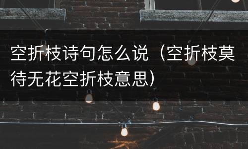 空折枝诗句怎么说（空折枝莫待无花空折枝意思）