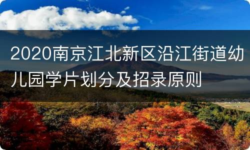 2020南京江北新区沿江街道幼儿园学片划分及招录原则
