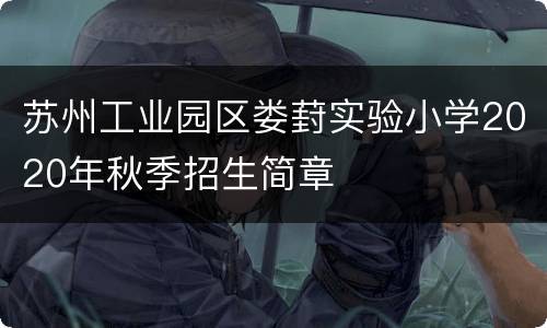苏州工业园区娄葑实验小学2020年秋季招生简章