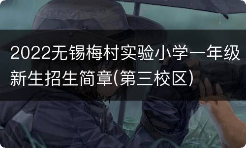 2022无锡梅村实验小学一年级新生招生简章(第三校区)