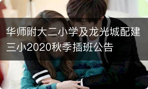 华师附大二小学及龙光城配建三小2020秋季插班公告