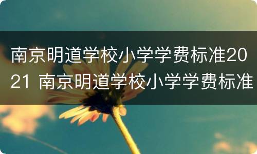 南京明道学校小学学费标准2021 南京明道学校小学学费标准2021年级