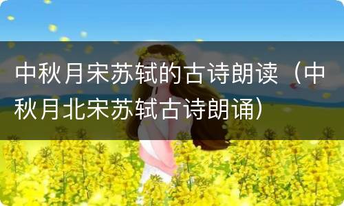 中秋月宋苏轼的古诗朗读（中秋月北宋苏轼古诗朗诵）