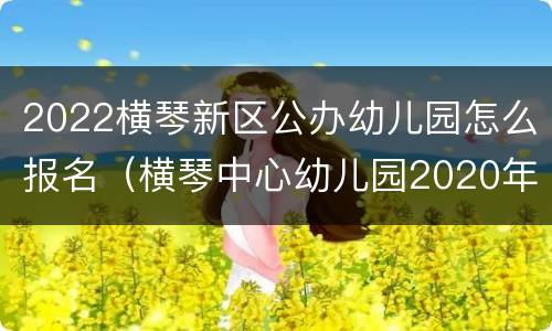 2022横琴新区公办幼儿园怎么报名（横琴中心幼儿园2020年招生）