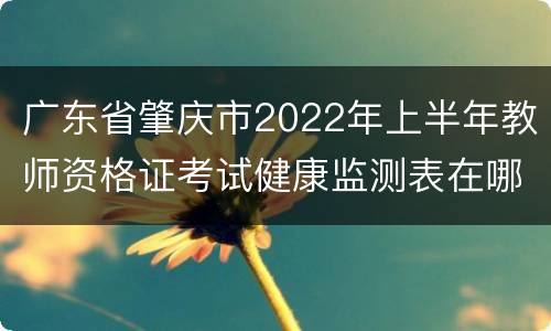 广东省肇庆市2022年上半年教师资格证考试健康监测表在哪里下载？