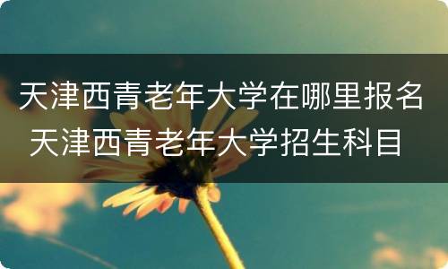 天津西青老年大学在哪里报名 天津西青老年大学招生科目