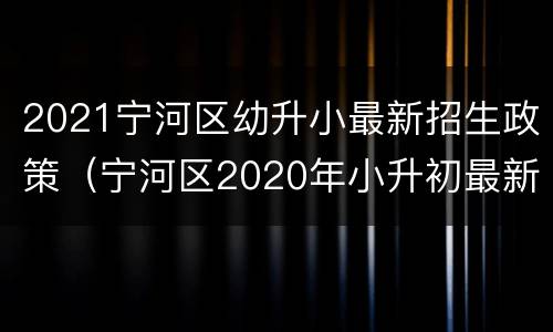 2021宁河区幼升小最新招生政策（宁河区2020年小升初最新政策）