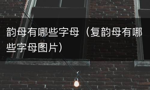 韵母有哪些字母（复韵母有哪些字母图片）