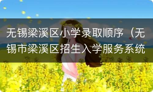 无锡梁溪区小学录取顺序（无锡市梁溪区招生入学服务系统几点刷新）