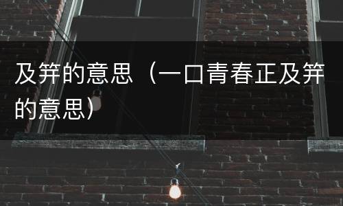 及笄的意思（一口青春正及笄的意思）