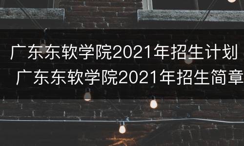 广东东软学院2021年招生计划 广东东软学院2021年招生简章