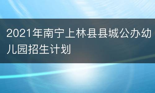 2021年南宁上林县县城公办幼儿园招生计划