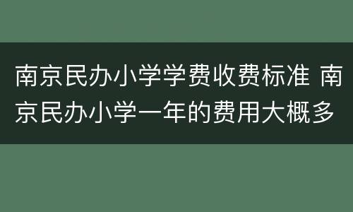 南京民办小学学费收费标准 南京民办小学一年的费用大概多少