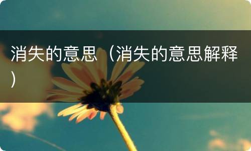 消失的意思（消失的意思解释）
