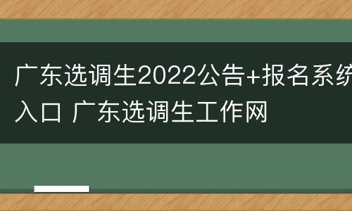 广东选调生2022公告+报名系统入口 广东选调生工作网