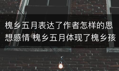 槐乡五月表达了作者怎样的思想感情 槐乡五月体现了槐乡孩子的什么特点