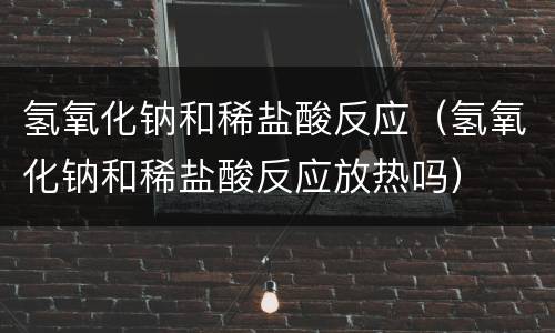 氢氧化钠和稀盐酸反应（氢氧化钠和稀盐酸反应放热吗）