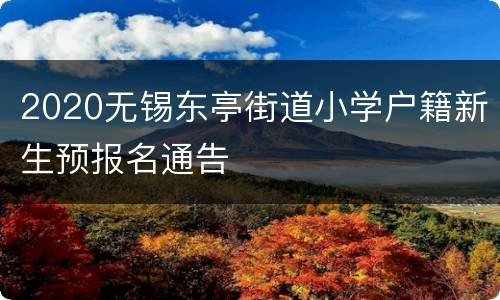 2020无锡东亭街道小学户籍新生预报名通告