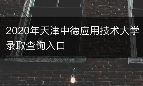 2020年天津中德应用技术大学录取查询入口