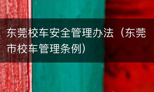 东莞校车安全管理办法（东莞市校车管理条例）