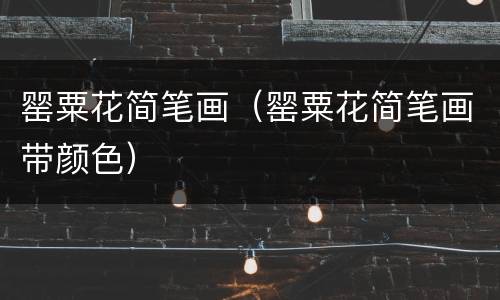 罂粟花简笔画（罂粟花简笔画带颜色）