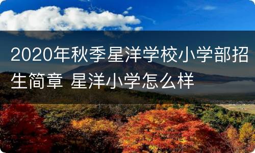 2020年秋季星洋学校小学部招生简章 星洋小学怎么样