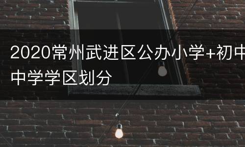 2020常州武进区公办小学+初中中学学区划分