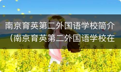 南京育英第二外国语学校简介（南京育英第二外国语学校在哪里）
