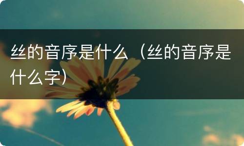 丝的音序是什么（丝的音序是什么字）
