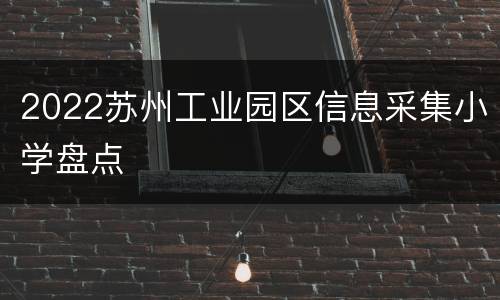 2022苏州工业园区信息采集小学盘点