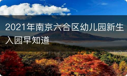 2021年南京六合区幼儿园新生入园早知道