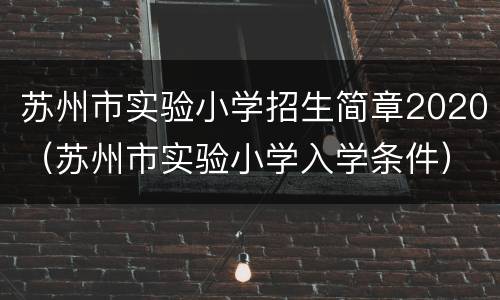 苏州市实验小学招生简章2020（苏州市实验小学入学条件）