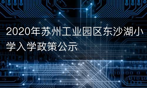 2020年苏州工业园区东沙湖小学入学政策公示