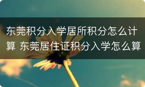 东莞积分入学居所积分怎么计算 东莞居住证积分入学怎么算