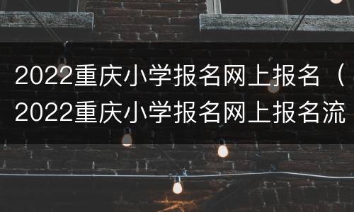2022重庆小学报名网上报名（2022重庆小学报名网上报名流程）