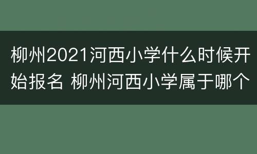 柳州2021河西小学什么时候开始报名 柳州河西小学属于哪个区