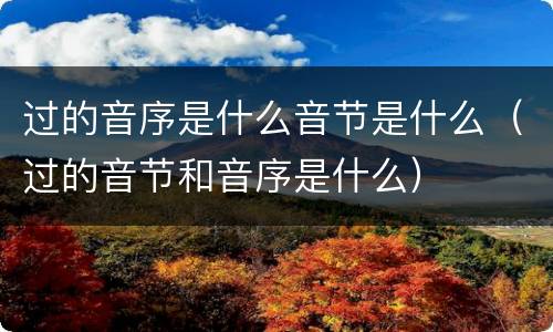 过的音序是什么音节是什么（过的音节和音序是什么）
