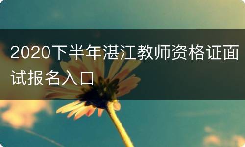 2020下半年湛江教师资格证面试报名入口