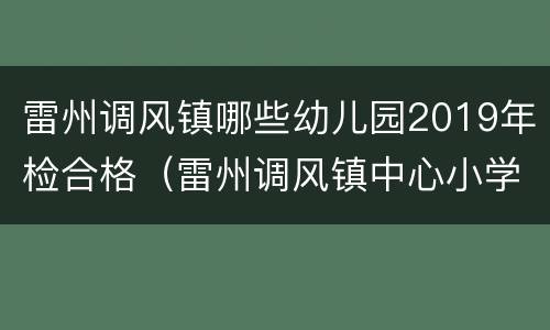 雷州调风镇哪些幼儿园2019年检合格（雷州调风镇中心小学）