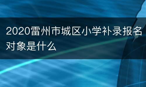 2020雷州市城区小学补录报名对象是什么