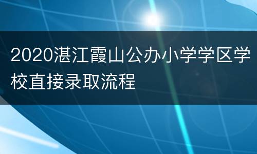 2020湛江霞山公办小学学区学校直接录取流程