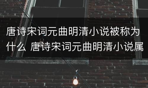 唐诗宋词元曲明清小说被称为什么 唐诗宋词元曲明清小说属于什么