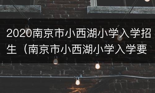 2020南京市小西湖小学入学招生（南京市小西湖小学入学要求）
